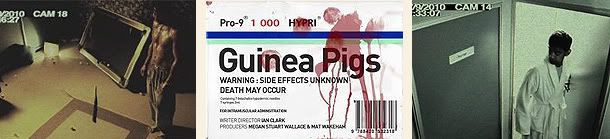 Guinea Pigs