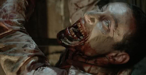 Imágenes de REC 3, The Human Centipede 2 y The Walking Dead