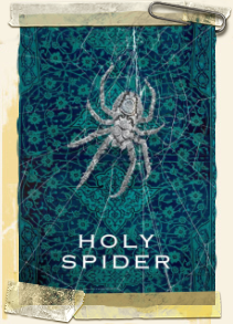 Holy spider